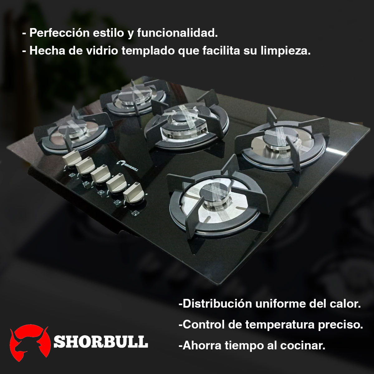 Parrilla De Gas 5 Quemadores De Acero Inoxidable