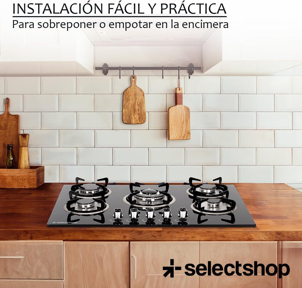 Parrilla De Gas 5 Quemadores De Acero Inoxidable