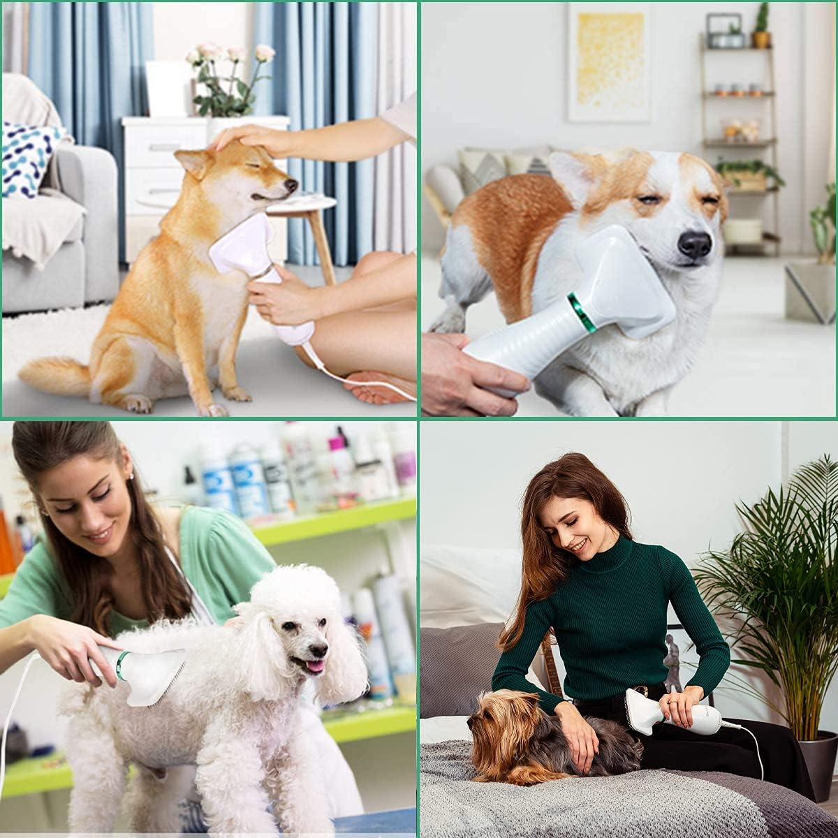 Cepillo Secador de Pelo para Mascotas 2 EN 1