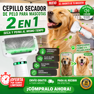 Cepillo Secador de Pelo para Mascotas 2 EN 1